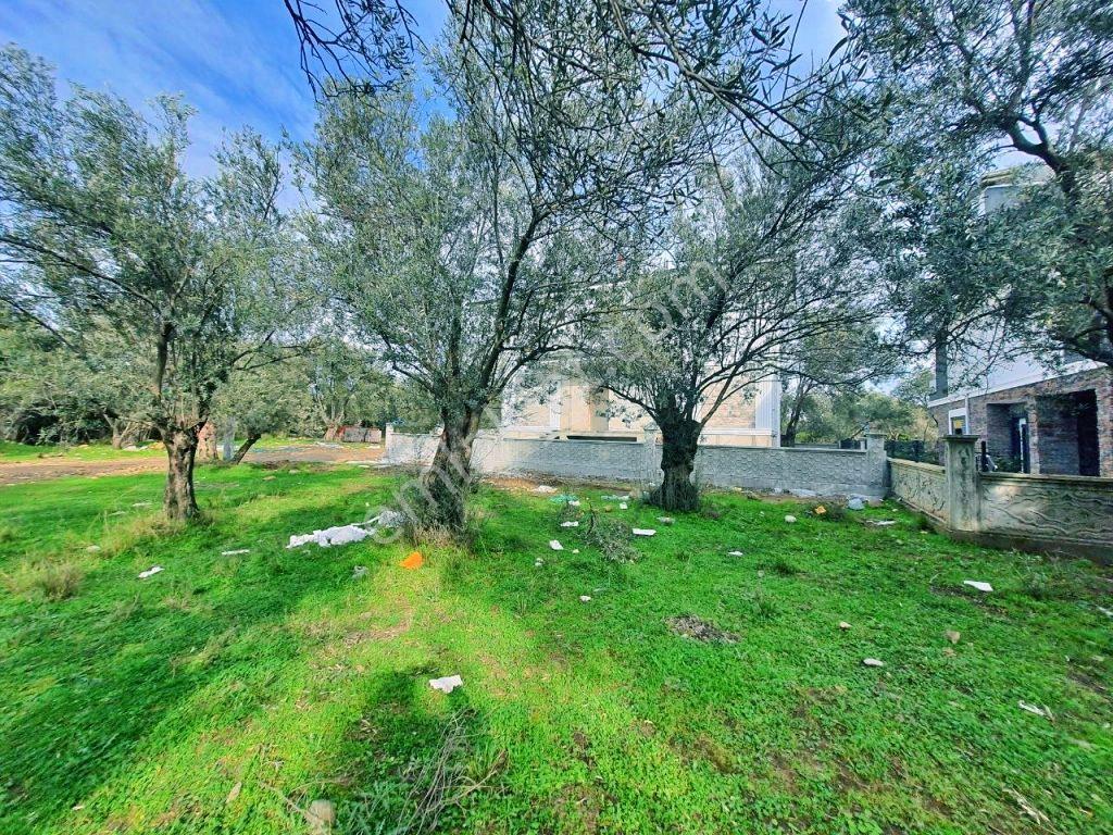Uytundan Zeytinlide Yola Cepheli %30 İmarlı Satılık Villa Arsası — fotoğraf 17