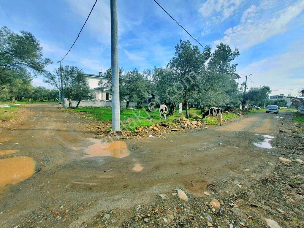 Uytundan Zeytinlide Yola Cepheli %30 İmarlı Satılık Villa Arsası — fotoğraf 29