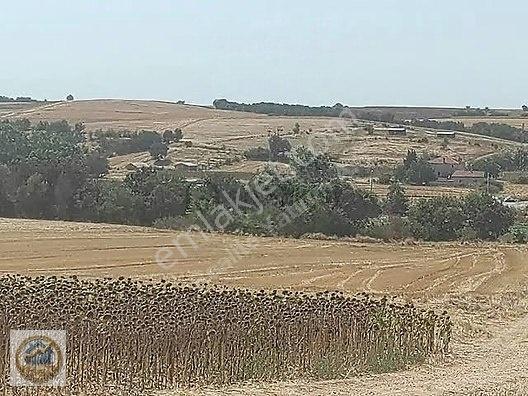 Kırklareli Pınarhisar Lojistik Depolama Merkezine Komşu Satılık