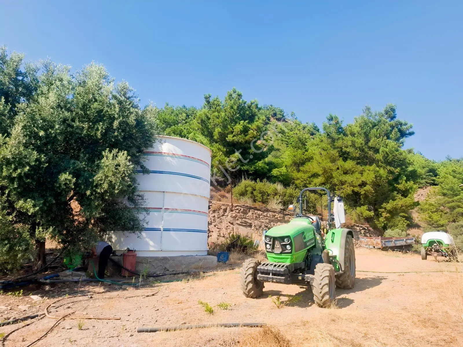 Özdere'de Satılık Zeytin Ve Mandalina Tarlası — fotoğraf 2