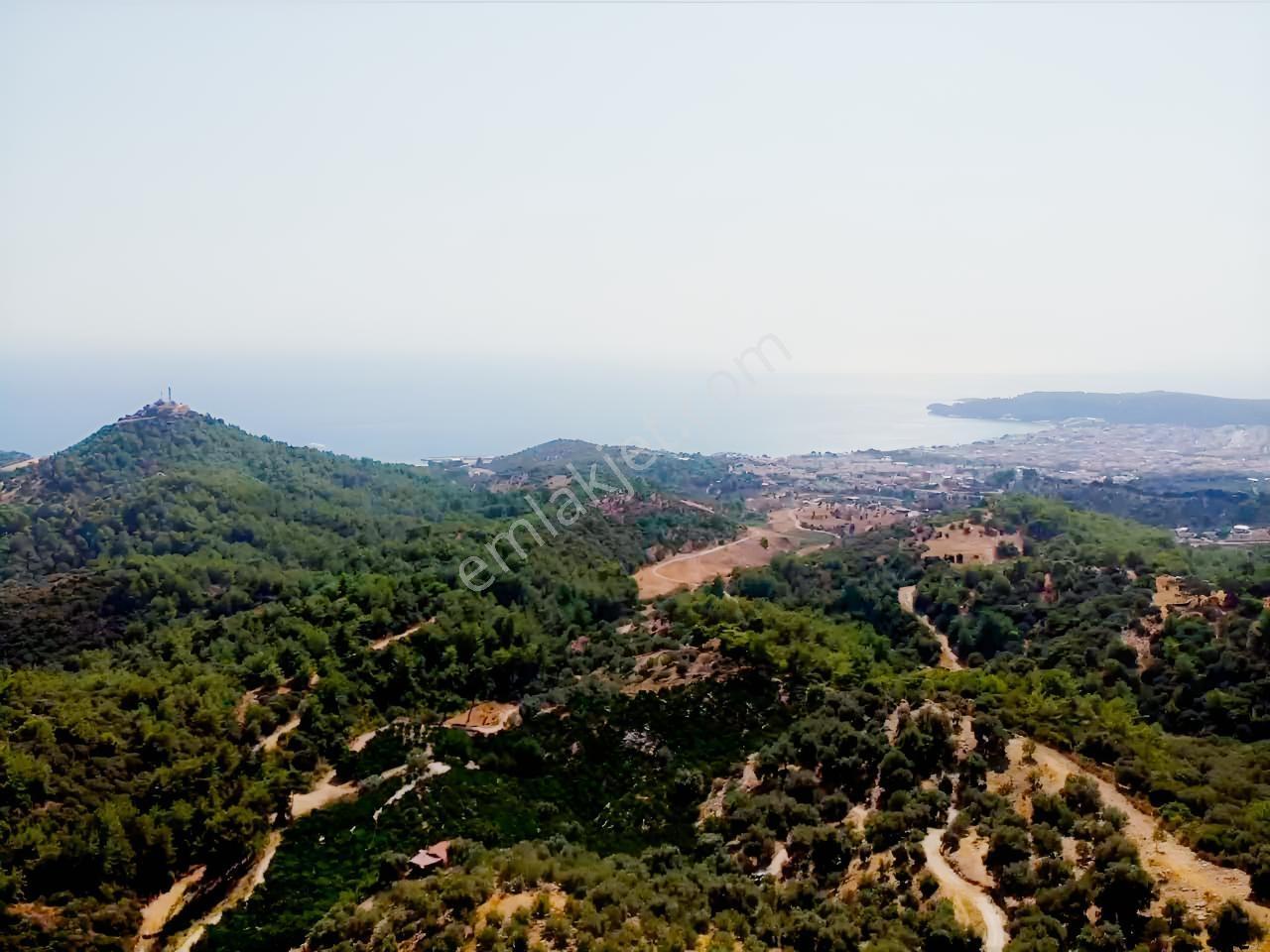 Özdere'de Satılık Zeytin Ve Mandalina Tarlası — fotoğraf 34