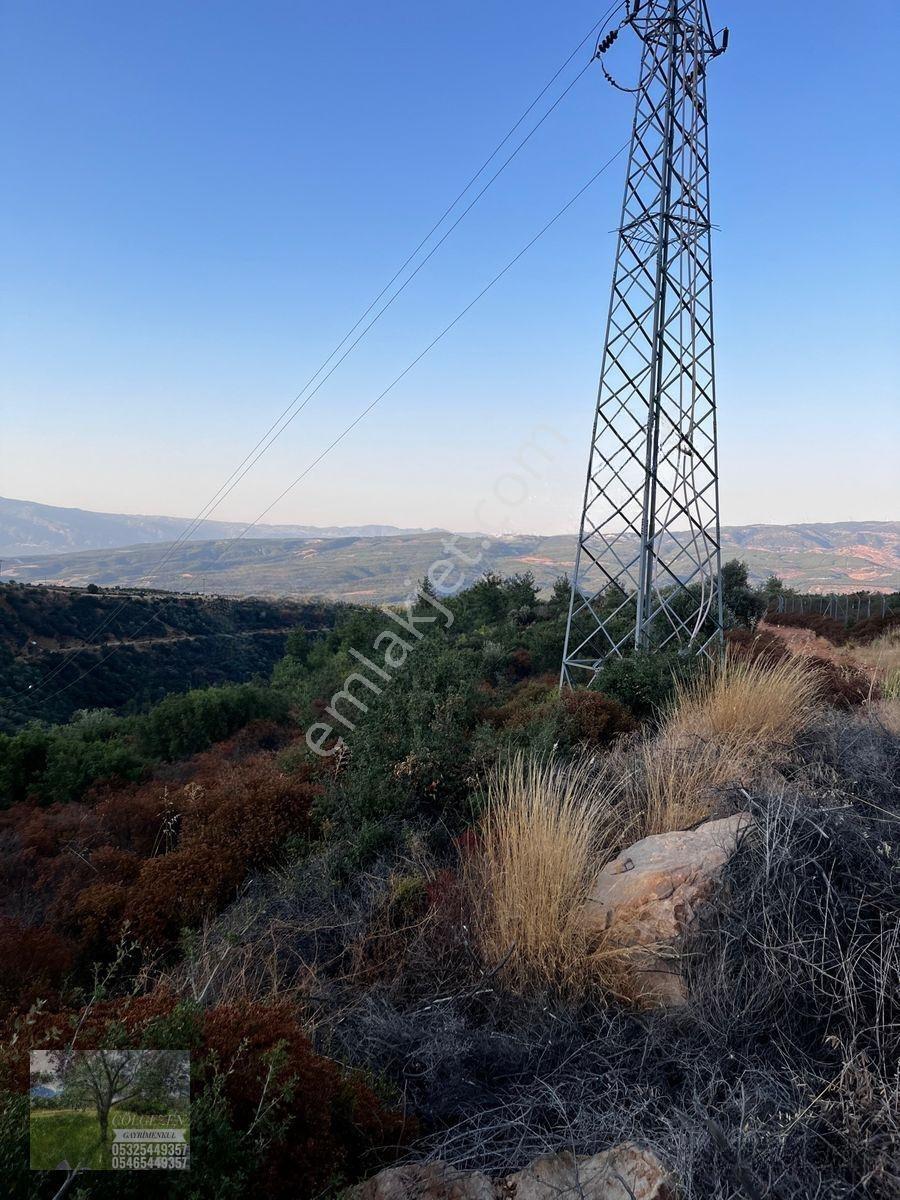 Çölgezen Gayrimenkulden Satılık Arazi — fotoğraf 2