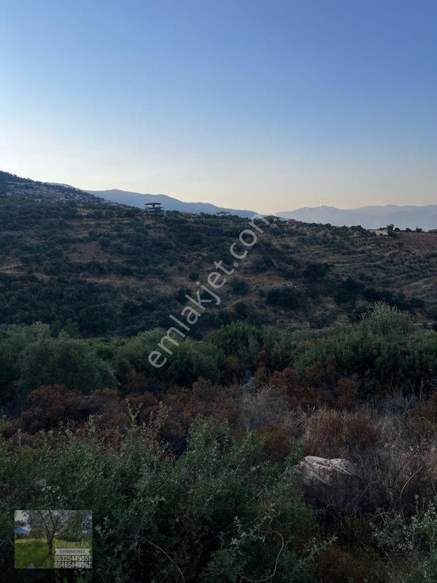 Çölgezen Gayrimenkulden Satılık Arazi — fotoğraf 3