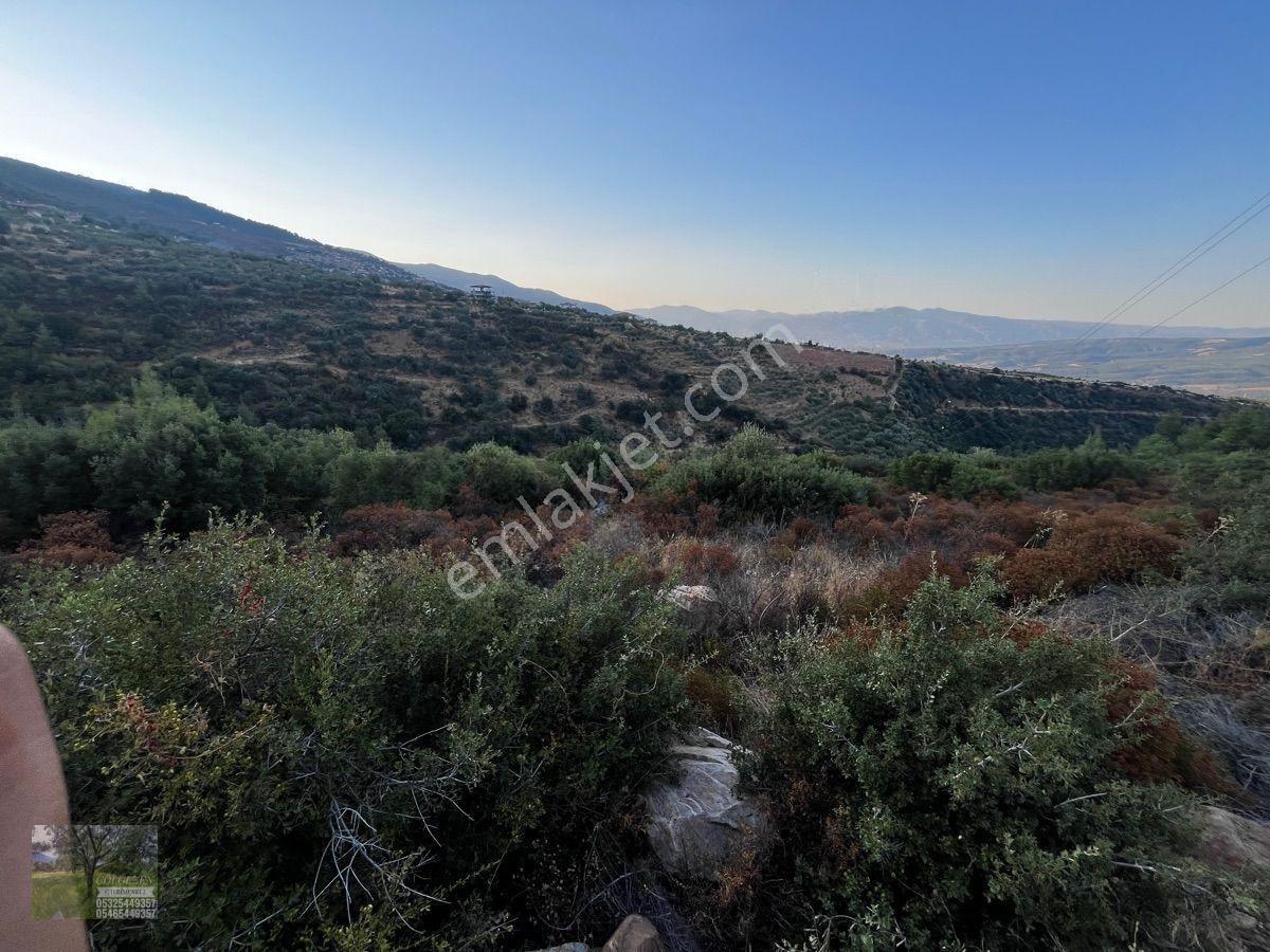 Çölgezen Gayrimenkulden Satılık Arazi — fotoğraf 7