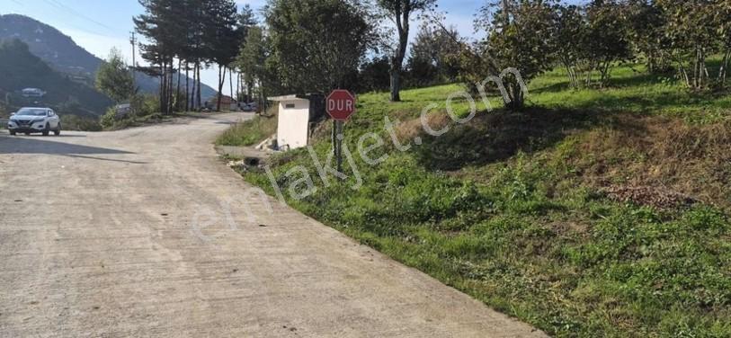Atakum Erikli'de Asfalt Yola Cephe Yerleşik Alanda Satılık Tarla — fotoğraf 2