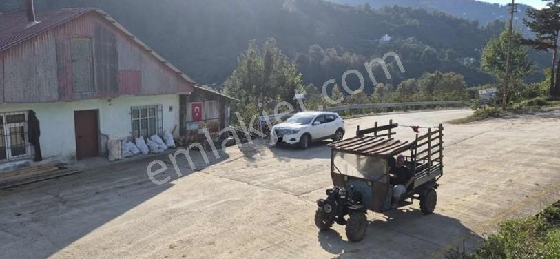 Atakum Erikli'de Asfalt Yola Cephe Yerleşik Alanda Satılık Tarla — fotoğraf 3