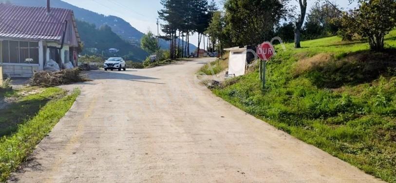Atakum Erikli'de Asfalt Yola Cephe Yerleşik Alanda Satılık Tarla — fotoğraf 5