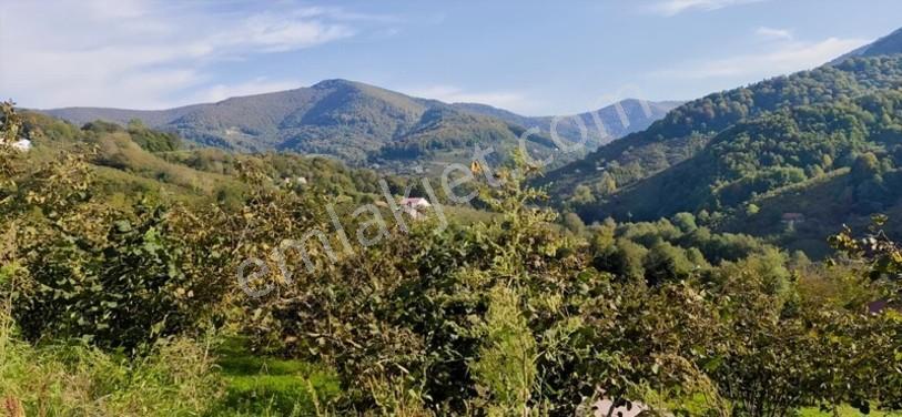 Atakum Erikli'de Asfalt Yola Cephe Yerleşik Alanda Satılık Tarla — fotoğraf 9