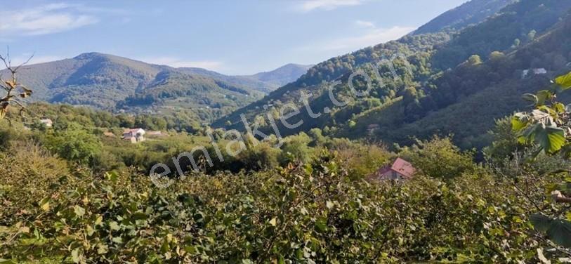 Atakum Erikli'de Asfalt Yola Cephe Yerleşik Alanda Satılık Tarla — fotoğraf 10