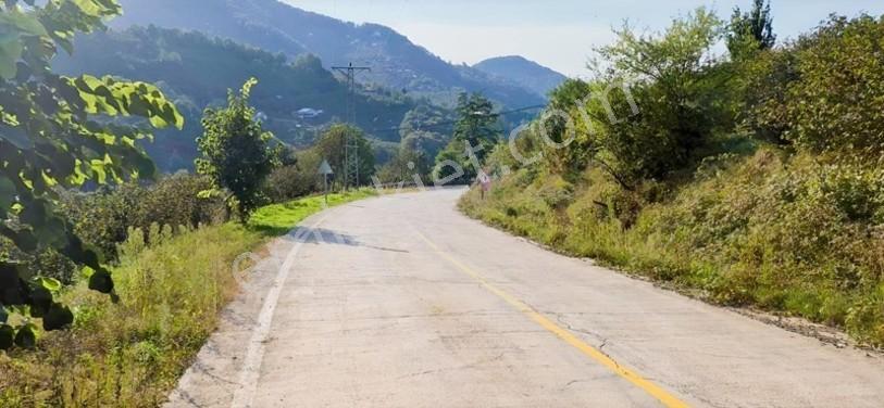 Atakum Erikli'de Asfalt Yola Cephe Yerleşik Alanda Satılık Tarla — fotoğraf 11