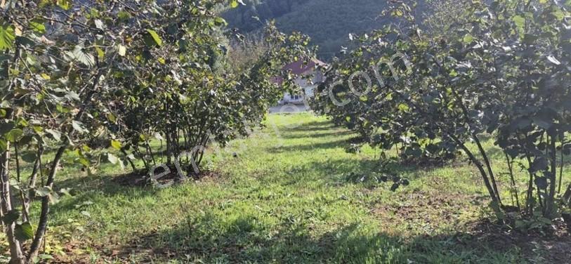 Atakum Erikli'de Asfalt Yola Cephe Yerleşik Alanda Satılık Tarla — fotoğraf 13