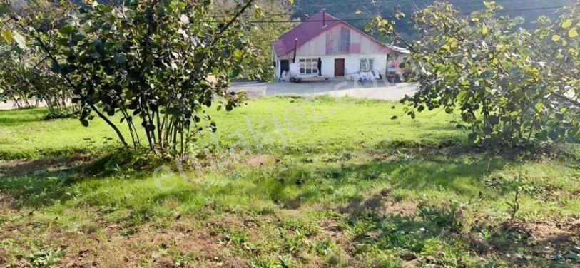 Atakum Erikli'de Asfalt Yola Cephe Yerleşik Alanda Satılık Tarla — fotoğraf 14