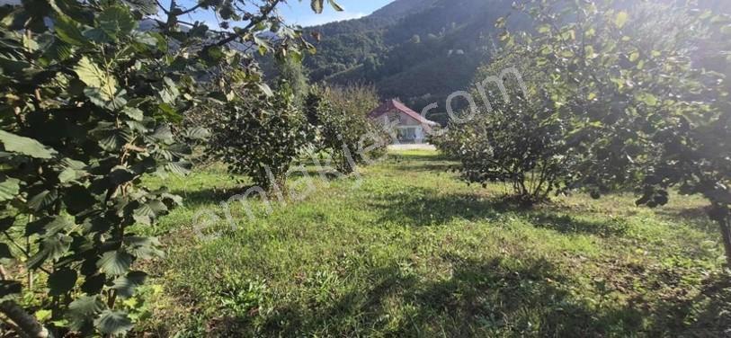 Atakum Erikli'de Asfalt Yola Cephe Yerleşik Alanda Satılık Tarla — fotoğraf 19