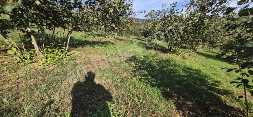 Atakum Erikli'de Asfalt Yola Cephe Yerleşik Alanda Satılık Tarla — fotoğraf 20