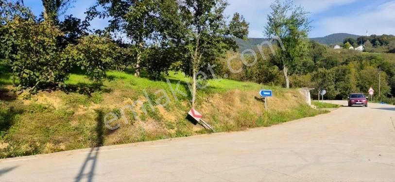 Atakum Erikli'de Asfalt Yola Cephe Yerleşik Alanda Satılık Tarla — fotoğraf 23