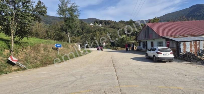 Atakum Erikli'de Asfalt Yola Cephe Yerleşik Alanda Satılık Tarla — fotoğraf 24