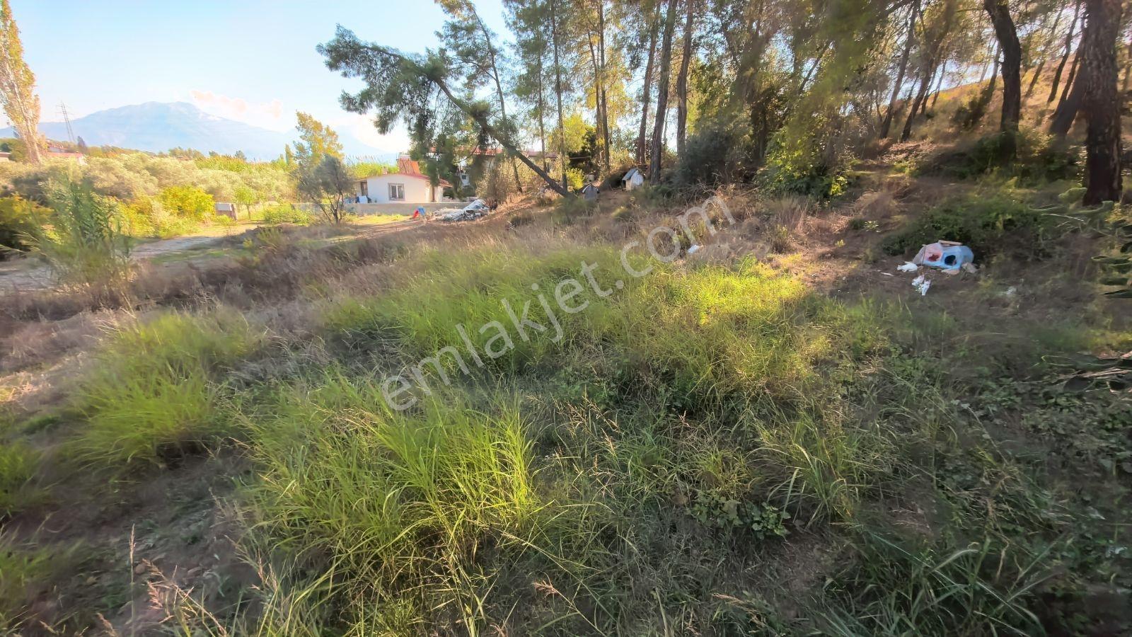 Fethiye Kargı Mah.de Geleceğe Yatırım Fırsatı! — fotoğraf 3