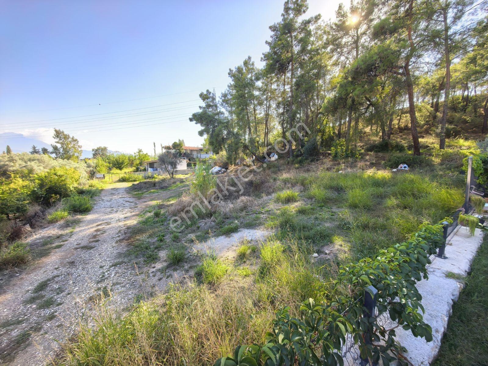 Fethiye Kargı Mah.de Geleceğe Yatırım Fırsatı! — fotoğraf 5