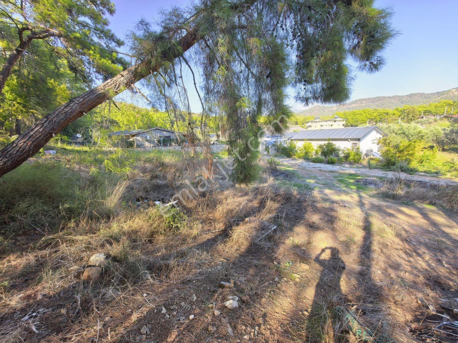 Fethiye Kargı Mah.de Geleceğe Yatırım Fırsatı! — fotoğraf 13