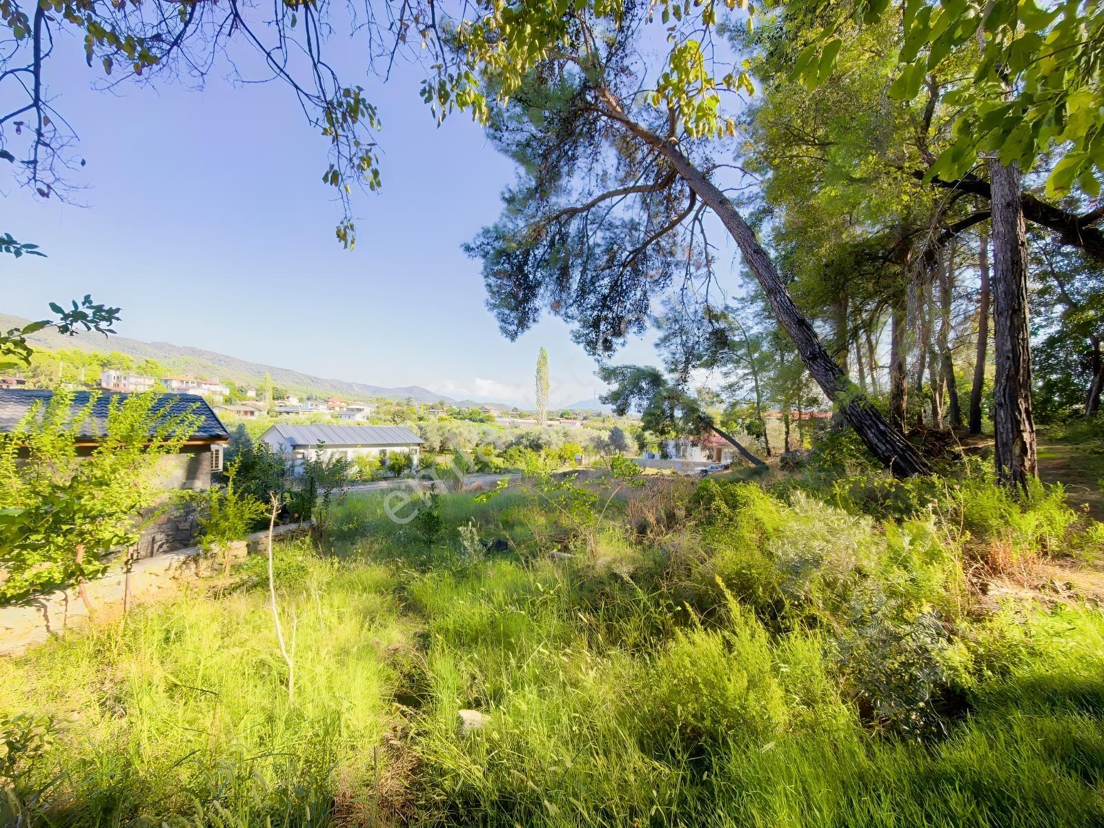 Fethiye Kargı Mah.de Geleceğe Yatırım Fırsatı! — fotoğraf 20