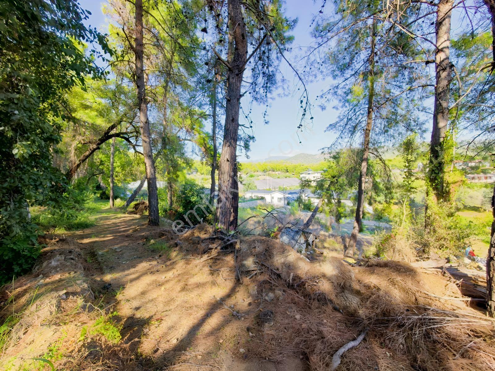 Fethiye Kargı Mah.de Geleceğe Yatırım Fırsatı! — fotoğraf 21