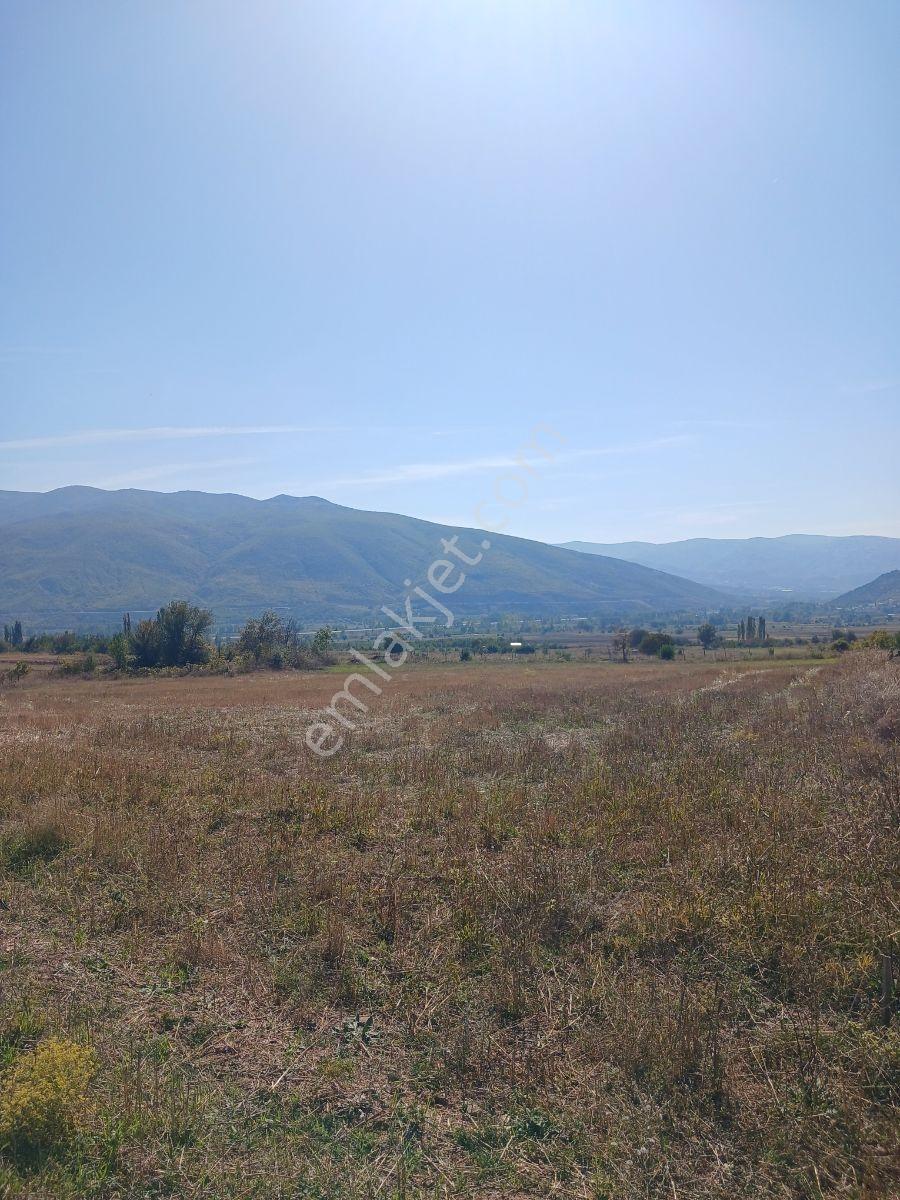Tokat Bizim Emlaktan Satılık Bahçe — fotoğraf 2