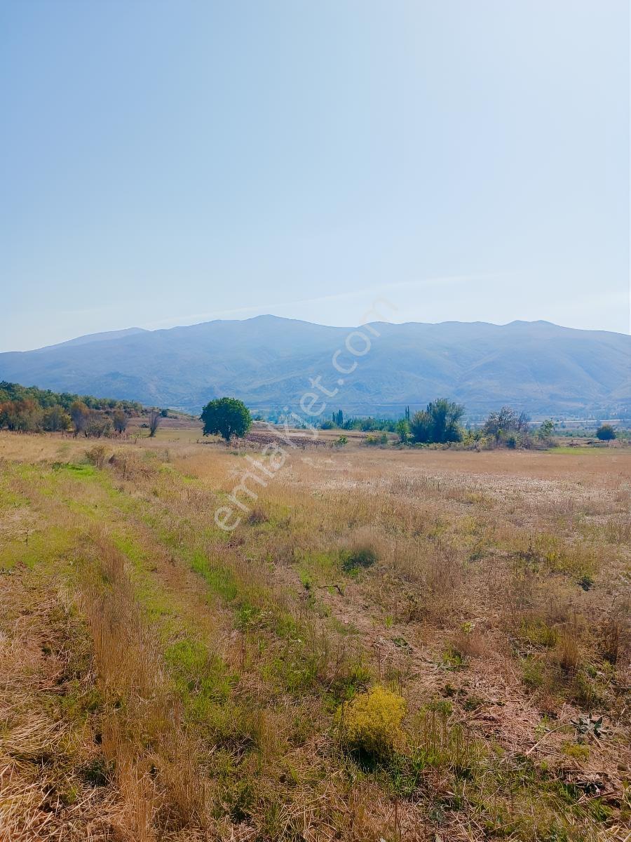Tokat Bizim Emlaktan Satılık Bahçe — fotoğraf 3