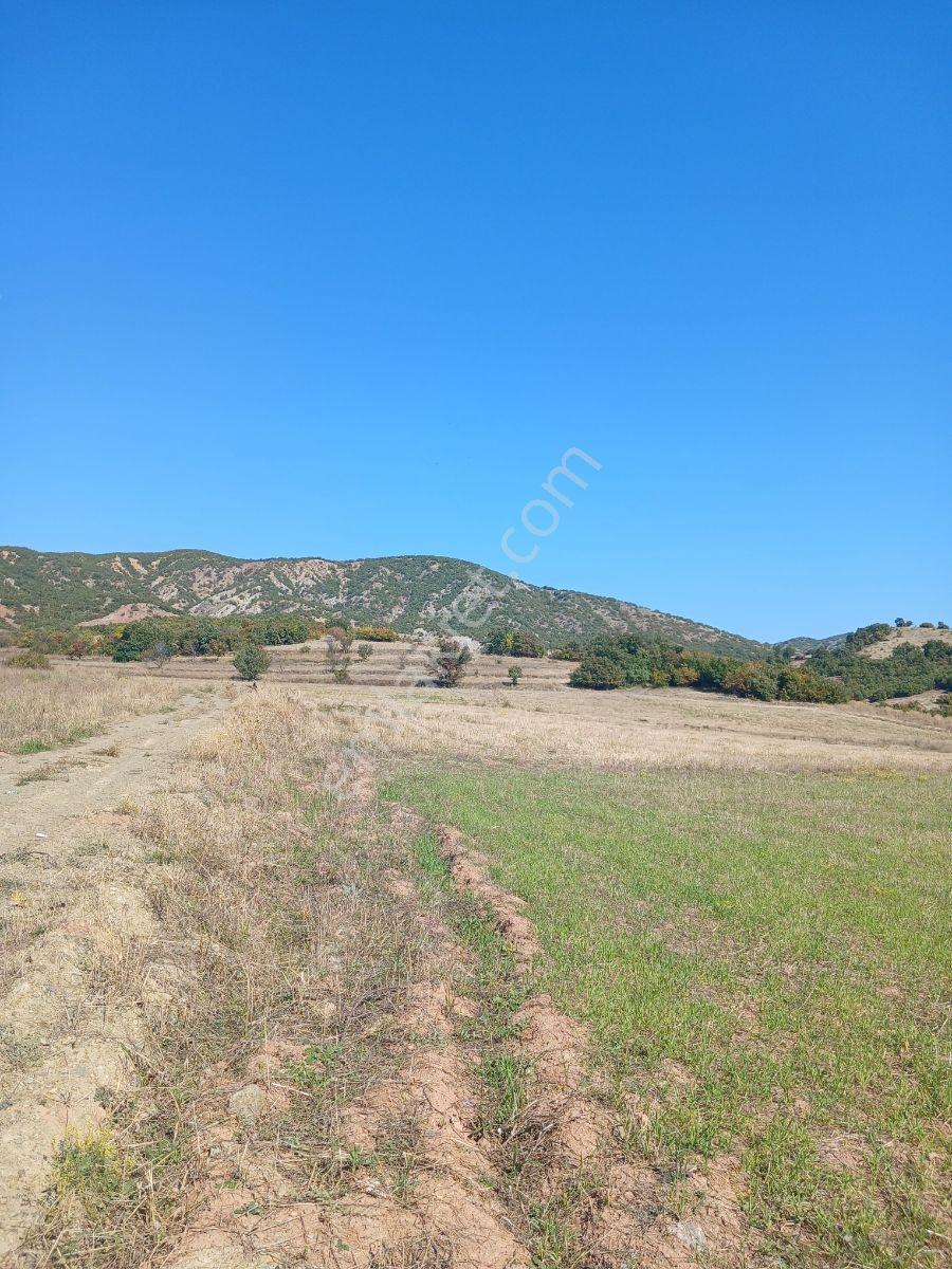 Tokat Bizim Emlaktan Satılık Bahçe — fotoğraf 4