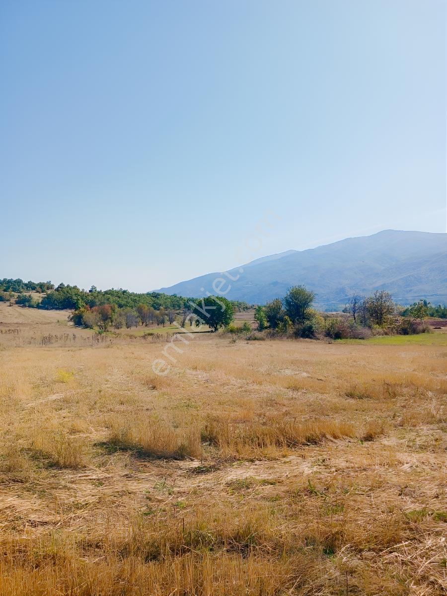 Tokat Bizim Emlaktan Satılık Bahçe — fotoğraf 5