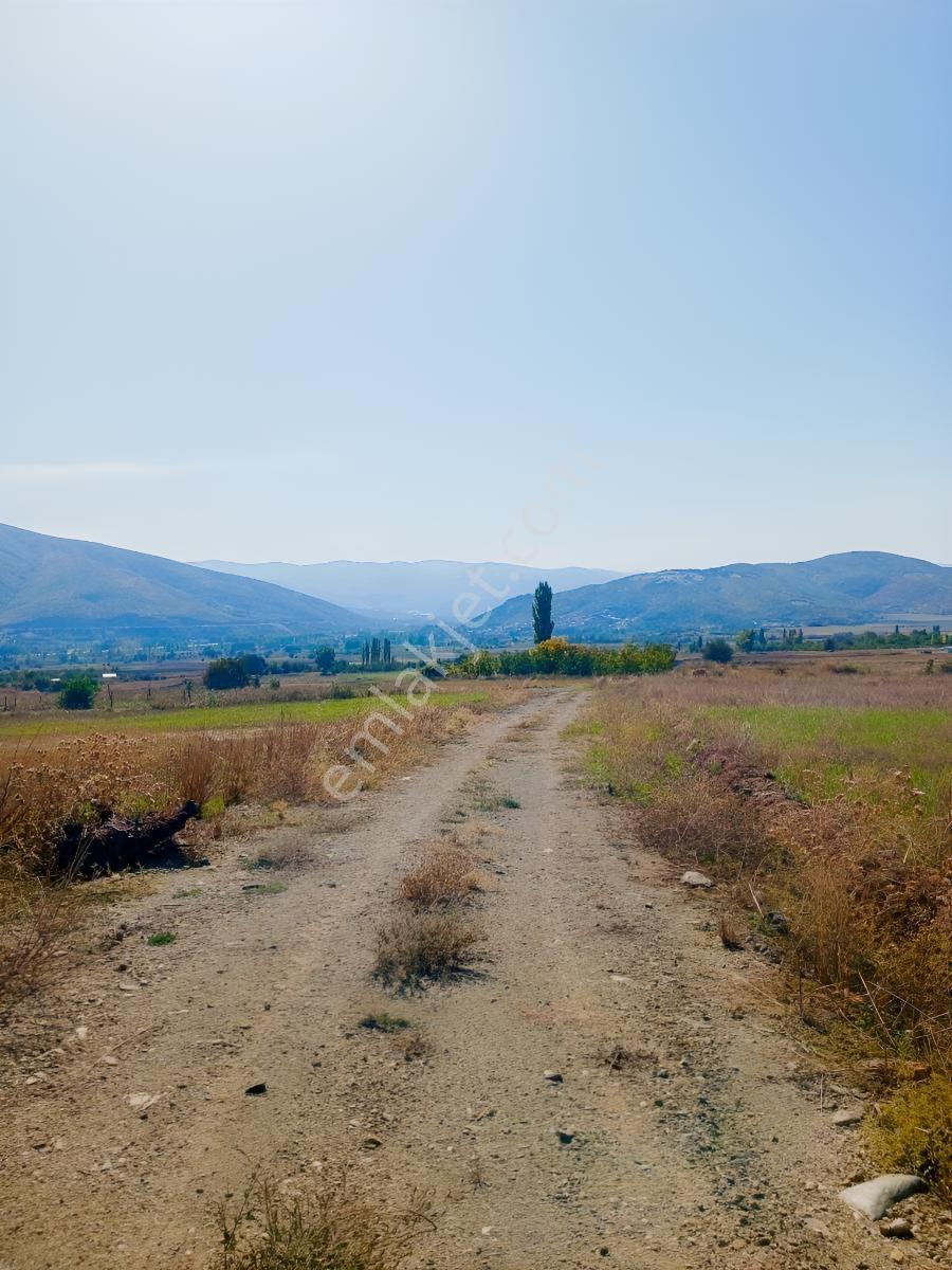Tokat Bizim Emlaktan Satılık Bahçe — fotoğraf 6