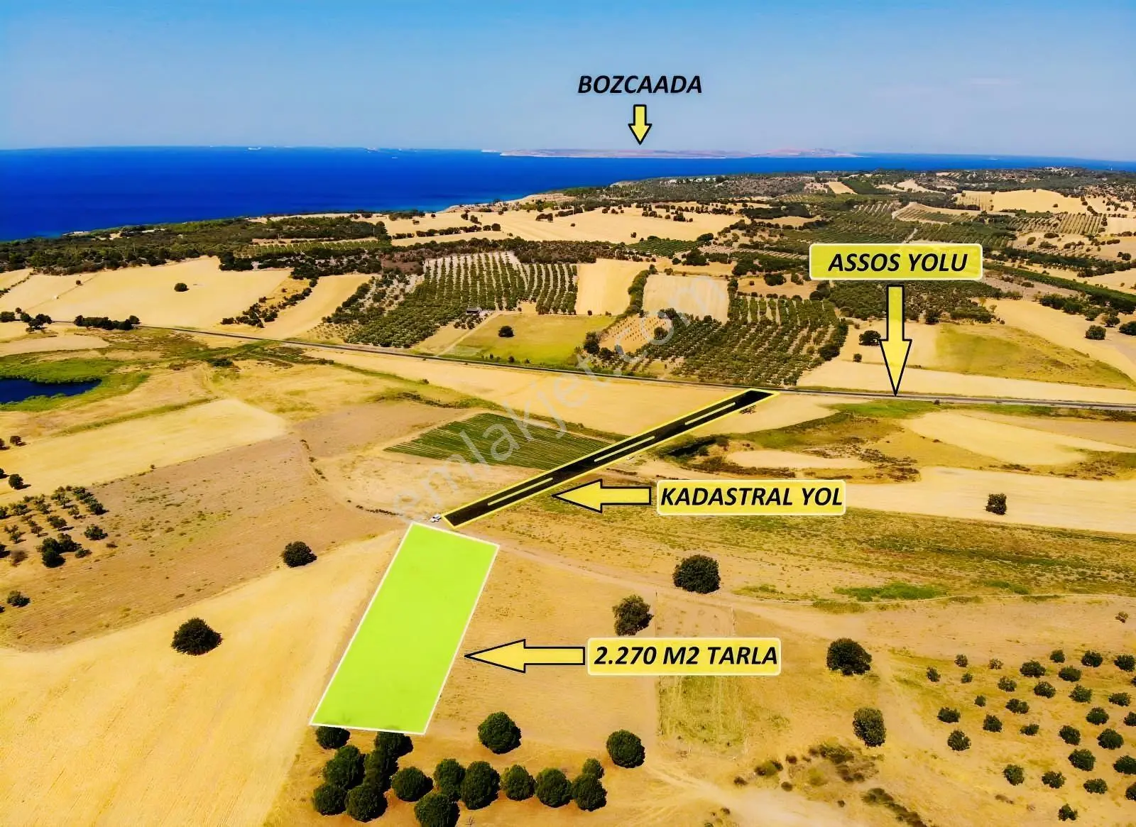 "Alaçatı"Dan Kuzey Ege'De Tek Tapu,2.270 M²,Sahile 900 M.Fırsat!