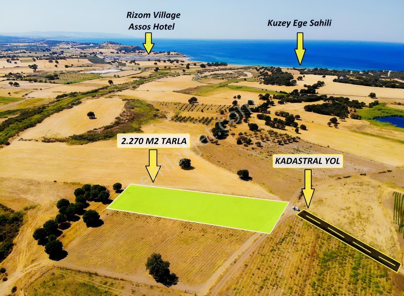 "alaçatı"dan Kuzey Ege'de Tek Tapu,2.270 M²,sahile 900 M.fırsat! — fotoğraf 2