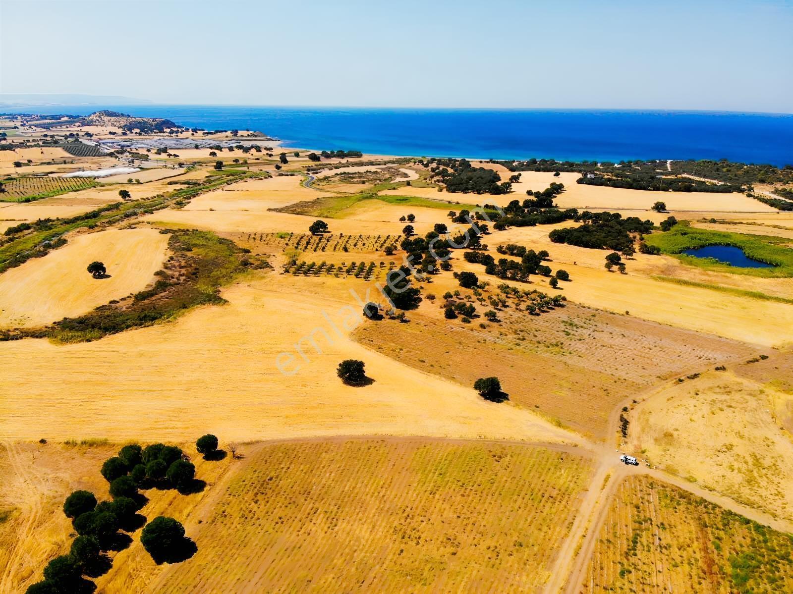 "alaçatı"dan Kuzey Ege'de Tek Tapu,2.270 M²,sahile 900 M.fırsat! — fotoğraf 3