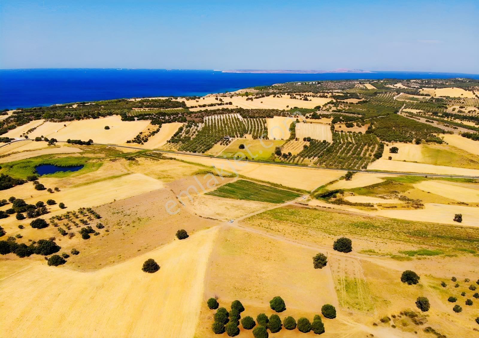 "alaçatı"dan Kuzey Ege'de Tek Tapu,2.270 M²,sahile 900 M.fırsat! — fotoğraf 4