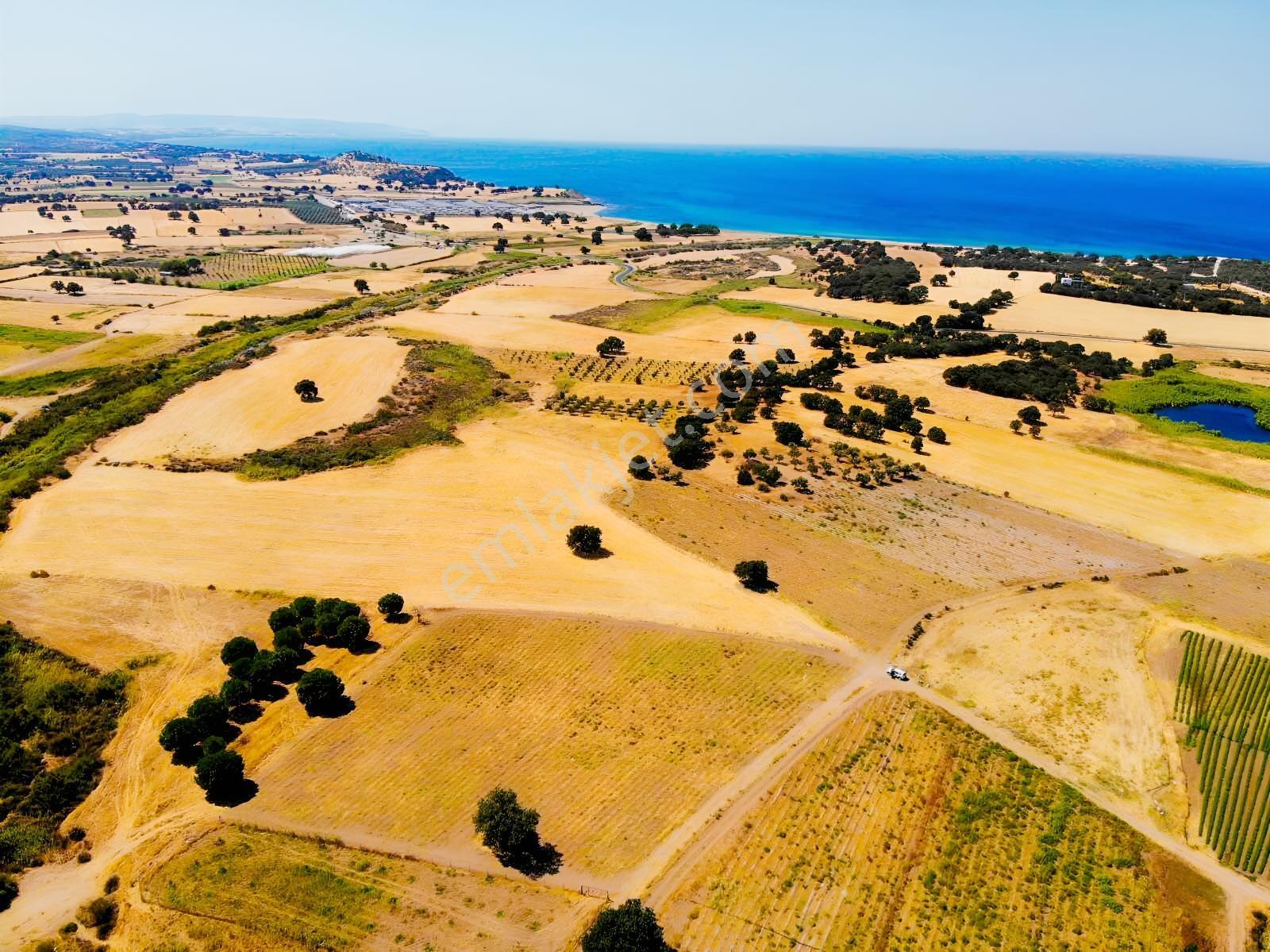 "alaçatı"dan Kuzey Ege'de Tek Tapu,2.270 M²,sahile 900 M.fırsat! — fotoğraf 5