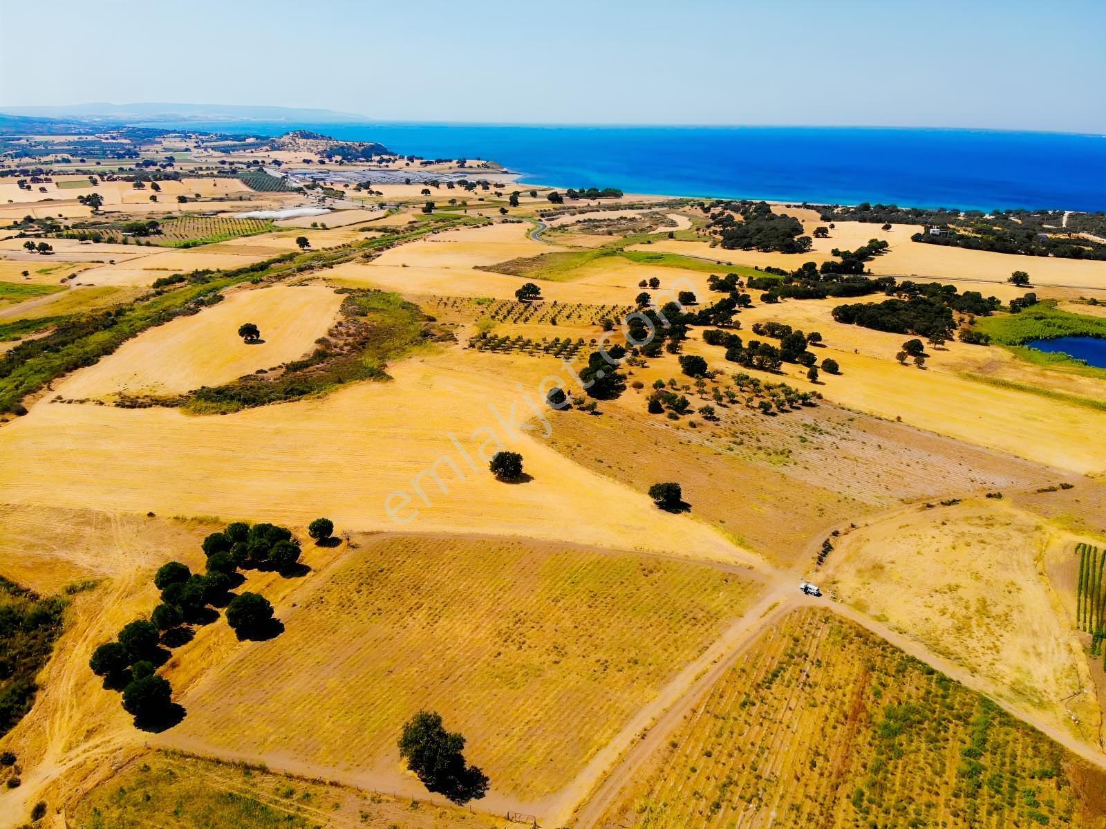 "alaçatı"dan Kuzey Ege'de Tek Tapu,2.270 M²,sahile 900 M.fırsat! — fotoğraf 7