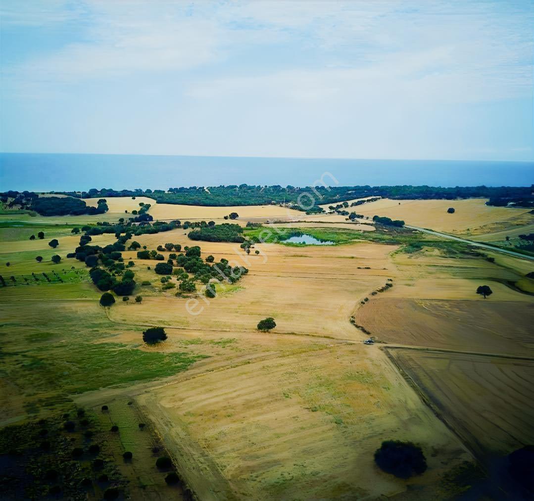 "alaçatı"dan Kuzey Ege'de Tek Tapu,2.270 M²,sahile 900 M.fırsat! — fotoğraf 8