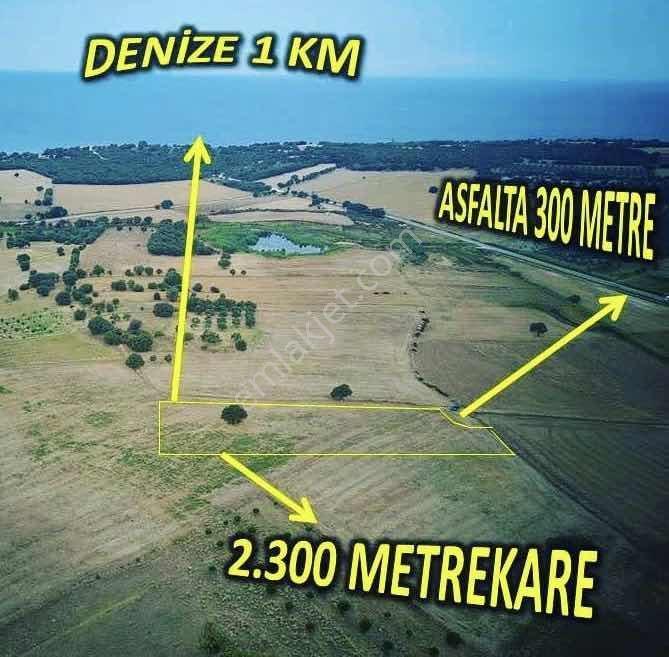"alaçatı"dan Kuzey Ege'de Tek Tapu,2.270 M²,sahile 900 M.fırsat! — fotoğraf 9