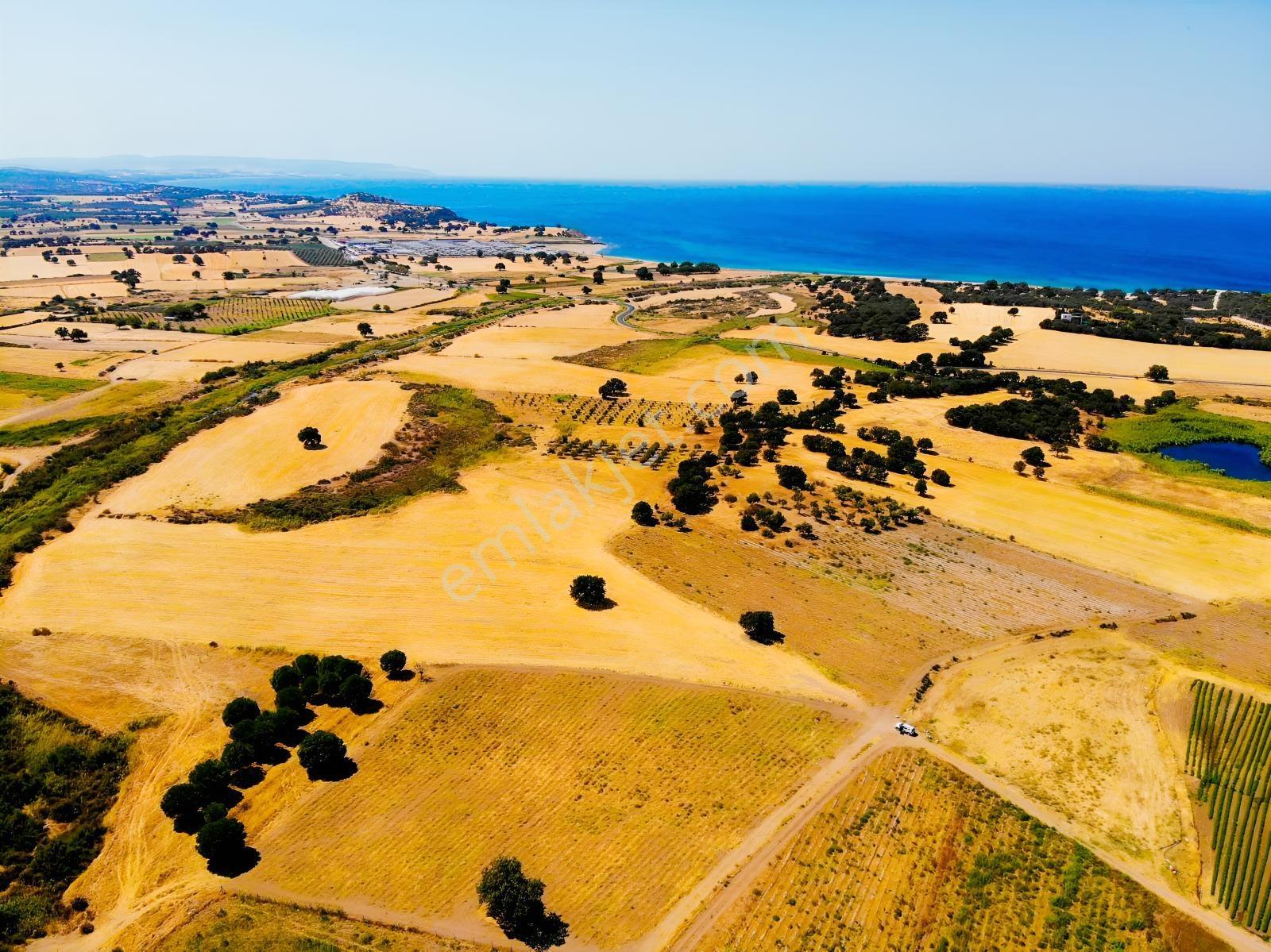 "alaçatı"dan Kuzey Ege'de Tek Tapu,2.270 M²,sahile 900 M.fırsat! — fotoğraf 10