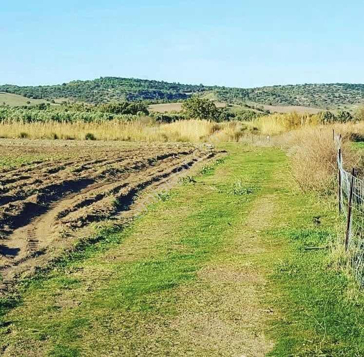 "alaçatı"dan Kuzey Ege'de Tek Tapu,2.270 M²,sahile 900 M.fırsat! — fotoğraf 11