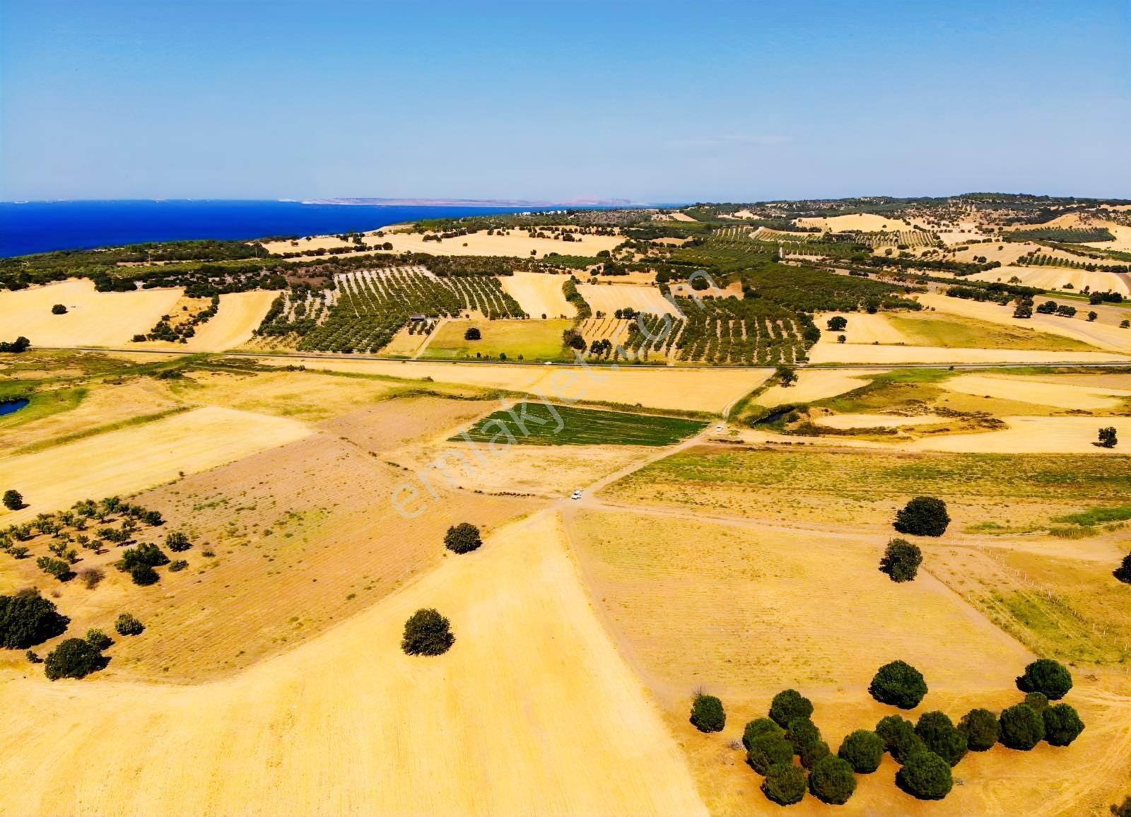 "alaçatı"dan Kuzey Ege'de Tek Tapu,2.270 M²,sahile 900 M.fırsat! — fotoğraf 14