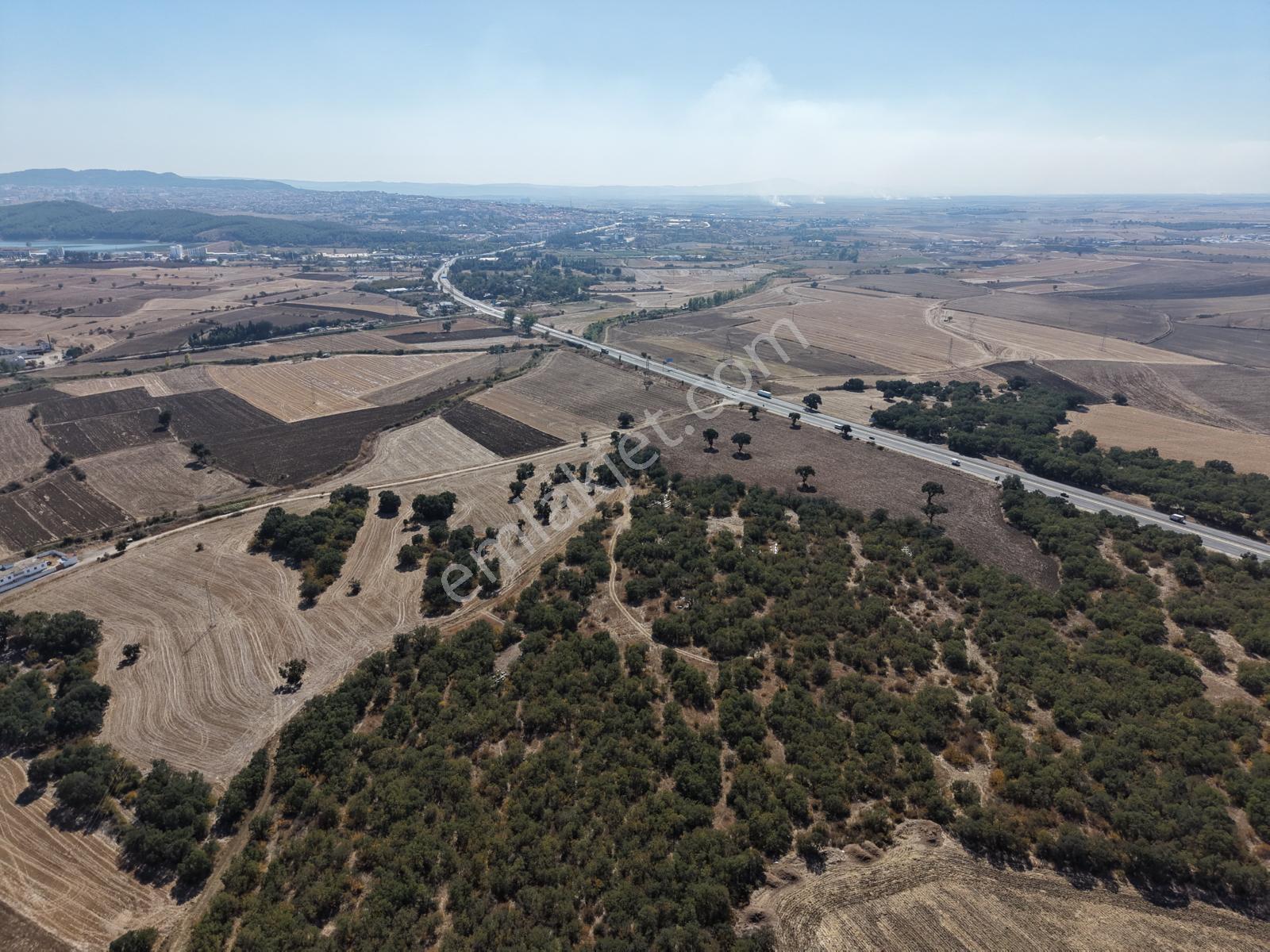 Ege Emlaktan İstasyon Mah. Ana Yola 50m Mesafede Satılık Tarla — fotoğraf 31