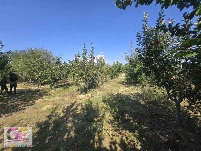 Ortaköyde Fırsat!!!!imarlı 1.000m2 Arsa Ana Yol Üzeri — fotoğraf 5