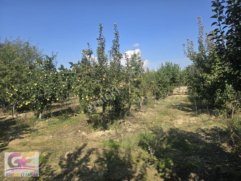 Ortaköyde Fırsat!!!!imarlı 1.000m2 Arsa Ana Yol Üzeri — fotoğraf 6