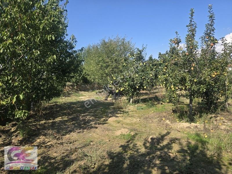 Ortaköyde Fırsat!!!!imarlı 1.000m2 Arsa Ana Yol Üzeri — fotoğraf 7