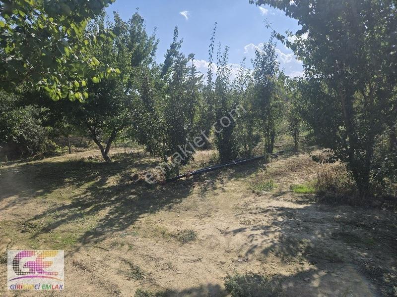 Ortaköyde Fırsat!!!!imarlı 1.000m2 Arsa Ana Yol Üzeri — fotoğraf 8