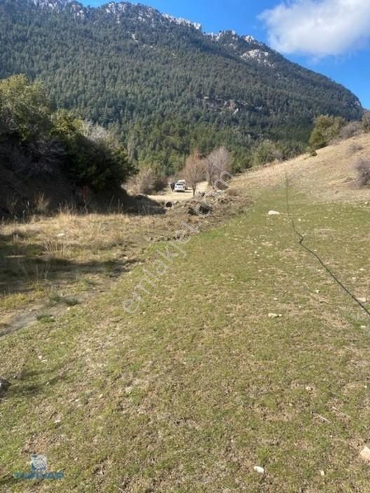 Turyaptan Satılık Seydikemer Dere Köyde 3.318 M² Tarla