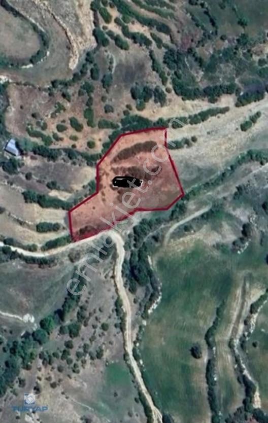 Turyaptan Satılık Seydikemer Dere Köyde 3.318 M² Tarla — fotoğraf 2