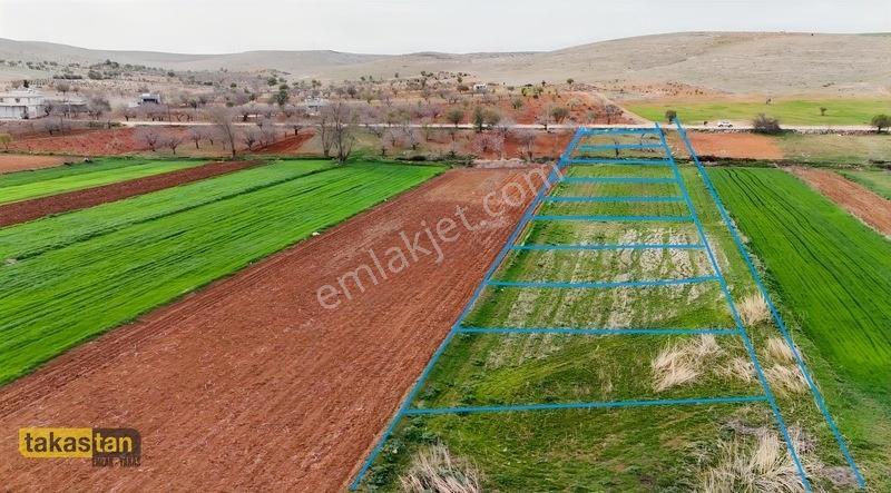 Bahçelievler Projesi Karşısı Asfaltüstü Uygun Fiyat Fırsat Arazi — fotoğraf 5
