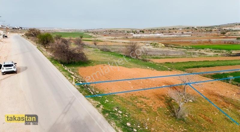 Bahçelievler Projesi Karşısı Asfaltüstü Uygun Fiyat Fırsat Arazi — fotoğraf 8